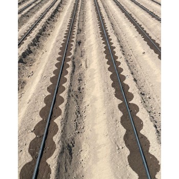 Lente Aqua-Traxx 8mil x 10cm (250m)