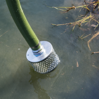 Sūkšanas šļūtenes grozs 50 mm / 2" bez atgaitnes vārsta 