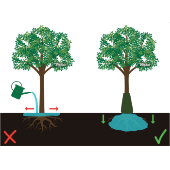 Koku laistīšanas maiss 75L