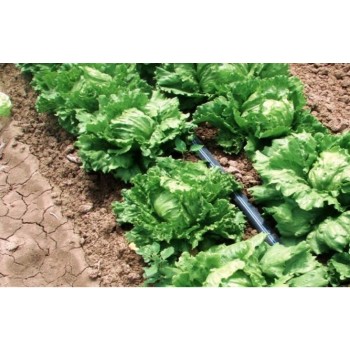 Lente Aqua-Traxx 6 mil x 10 cm (3300 m)