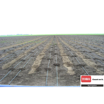 Lente Aqua-Traxx 6 mil x 10 cm (3300 m)
