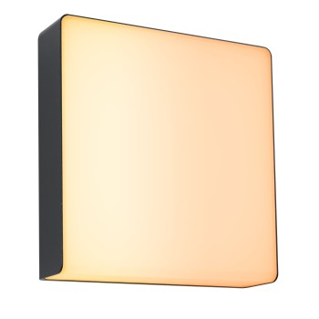 Настенный светильник Azalena 8,5 Вт, безопасный для насекомых, черный