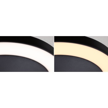 Настенный светильник Circula 14W, безопасный для насекомых, антрацитового цвета