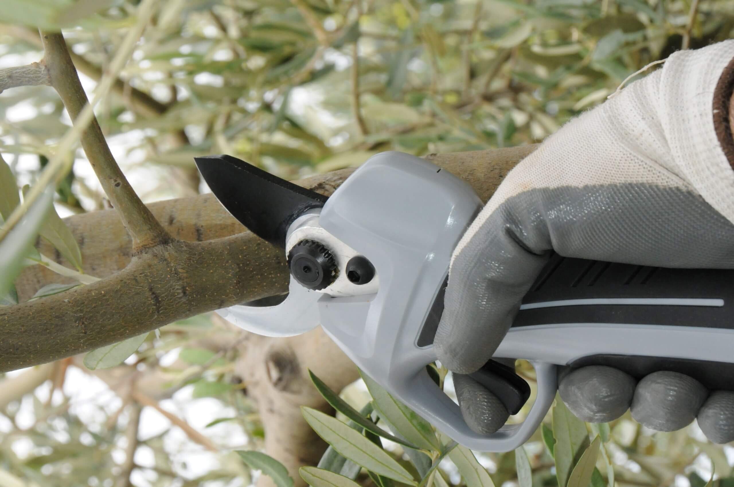 Visi instrumenti Jūsu dārzam